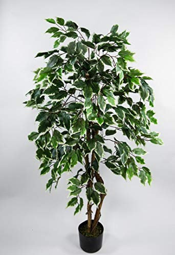 Ficus Excotica 120cm grün-Creme DA Kunstbaum Dekobaum Kunstpflanzen künstlicher Baum Birkenfeige