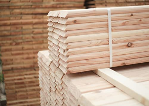 Zaunlatte 9x2x120 20szt Sibirische Lärche Form B…