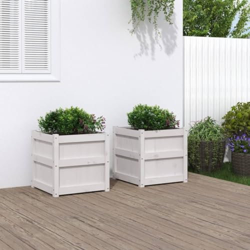 ShCuShan Pflanzkübel 2 STK. Blumenkasten PflanzgefäßE FüR Draussen PflanzenküBel Weiß Massivholz Kiefer - 837417