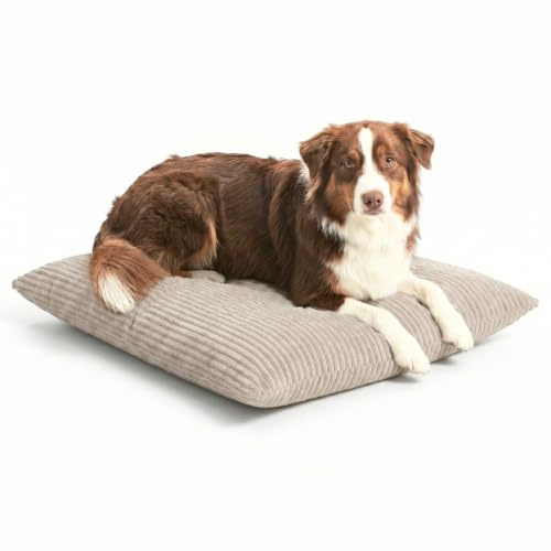4L Textil ZOE Hundkudde, fluffigt snöre, hundsäng, medelstora hundar med överdrag och dragkedja, gosig hundkudde, tvättbar beige (Beige(Ränder),80x60 cm)