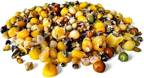 Tigernuessekaufen.de Taubenfutter Angelfertig 20KG | Karpfen Futter