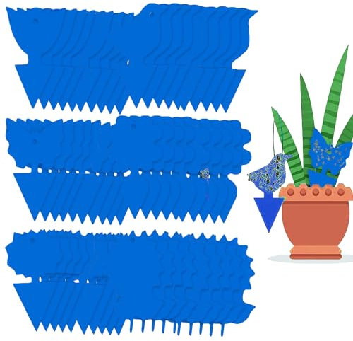 AuPower 60 Stück Blautafeln Gegen Thripse für die Zimmerpflanzen Schädlingsbekämpfung