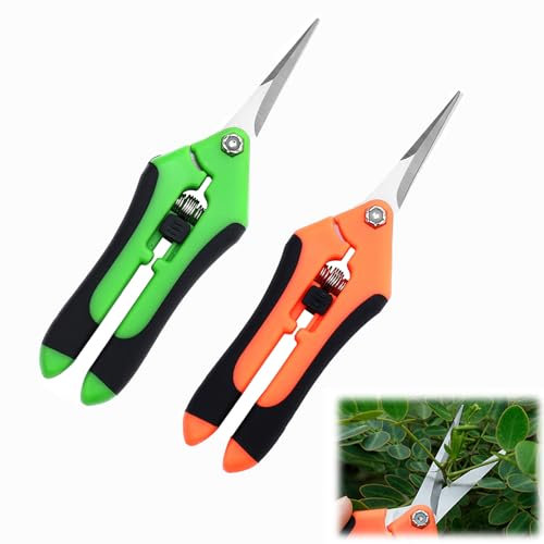 Kleine Gartenschere, Rosenschere Profi, Pflanzenschere für Bonsai, Blumen, Ernte, Obst, Gemüse - Baumscheren & Gartenscheren, Buchsbaumschere, Rasenkantenschere Hand (Gelb & Grün)