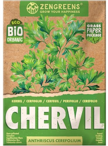 ZenGreens® - Bio Kerbel Samen - Kerbelsamen - Kräutersamen für den einfachen Anbau im Garten, Balkon oder Küche - Kräuter Saatgut ideal für Anfänger