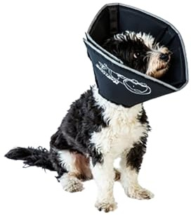 All Four Paws „The Comfy Cone“ Halskrause für Haustiere, XL (1er Pack)
