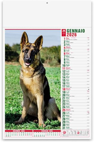 Hole Gadget | Calendari Personalizzati 2026 Cani e Gatti in Stock da 100 Pezzi Olandesi Grandi da Muro per Gadget Pubblicitari di Fine Anno e come Omaggio per i Clienti o Regali Aziendali PA108