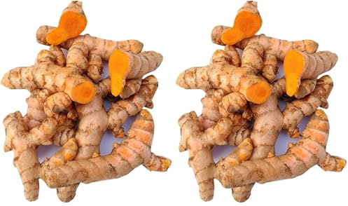 Bongiovanni Bontà Naturali Curcuma Radice a Pezzi 50g Premium | Curcuma Intera Secca per Tisane e Spezie | Antiossidante Naturale, Gusto Intenso e Benefico | Ideale per Infusi e Cucina Salutare.