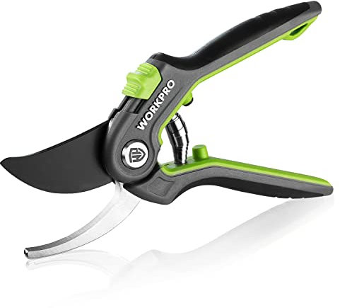 WORKPRO Bypass Forbici Cesoie da Potatura 210mm, Forbici professionali con lama SK5 per rami freschi, strumento da giardino ideale per innesti, potature, raccolta, cesoie per giardinaggio