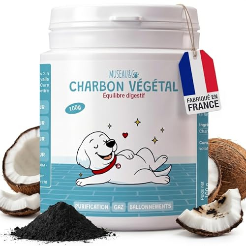 Charbon Végétal Actif Chien Chat - Digestion Ballonnements Gaz - Détox Naturelle Système Digestif - Constipation Diarrhée - 100g Poudre - 100% Naturel - Fabriqué en France