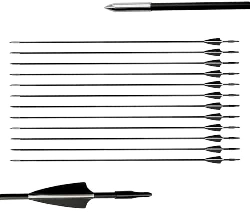 biubiusot 12erPfeile für Bogenschießen 31 Zoll Bogenpfeile Jagdpfeile Pfeile Übungspfeile Fiberglaspfeile für Anfänger Pfeil und Bogen Zielübung