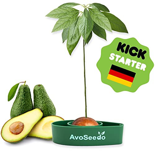 Avoseedo das Besondere Garten Geschenke - Pflanzen Sie Ihren Eigenen Avocadobaum. Kleine Geschenke Für Männer Und Frauen. Die Neue Klein Dekoration Für Ein Schöneres Zu Hause. Das Komplette Pflanz Set