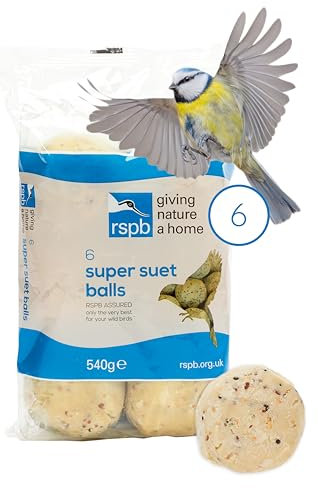 RSPB - Fat Balls for Birds, High Energy Suet Balls, Made in the UK, Delicious and Nutritious Bird Food, Suitable for Year-Round Feeding (6 Pack)