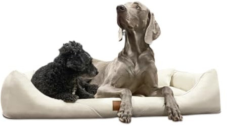 tierlando® Orthopädisches Hundebett William Easy-Clean | Luxus Hundesofa Kunstleder | Allergiker Anti-Haar | Memory Foam XXL+ | Creme