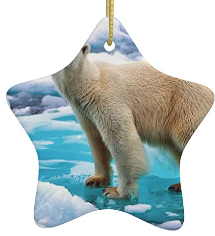 Eisbär Eisstern Weihnachtsschmuck zum Aufhängen für Weihnachtsbaum, festliche Jahreszeit, Urlaubsparty-Dekoration