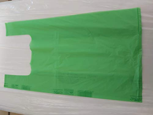 CF CARTA SHOPPERS BIODEGRADABILI E COMPOSTABILI KG 20 MISURA 30+20X55 VERDE CIRCA 1300PZ SACCHETTI ASPORTO MERCI SACCHETTI BIO