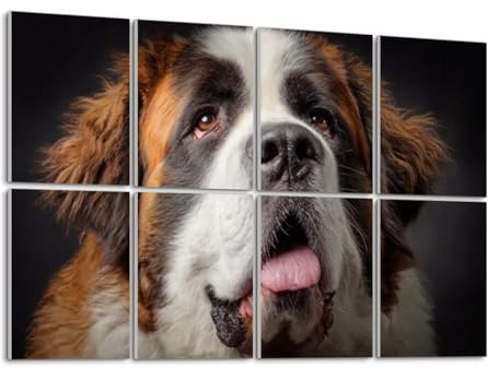 8 Pack Art Acoustic Panels Self Adhesive purebred st bernard dog animal eyess pictures Decorative Soundproof Wall Panels Sound Absorbing Panel 48x32 for Office Home Studio