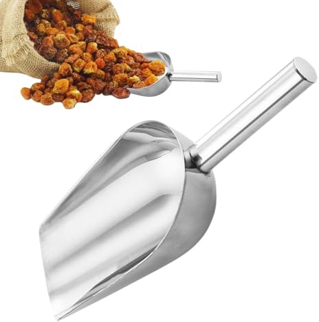Pelle à glace – 24,8 x 9,4 cm en acier inoxydable, multifonction, pour bonbons, farine, popcorn | Parfait pour machine à glaçons, grains de café, bar à domicile, cuisine, fête, fournitures de