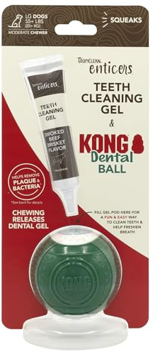 TropiClean Enticers Kong Dental Ball Kit for Large Dogs | Teeth Cleaning Gel | Smoked Beef Brisket Flavor | 29.75 ml