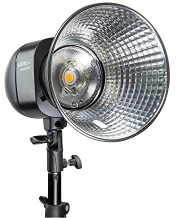 Walimex pro Flash Studio Newcomer 300 II – Flash 300 WS, déclencheur 2,4 GHz, lumière LED, durée 1/800-1/1200s, Monture Bowens, pour Petits Studios