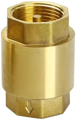 Rückschlagventile Federrückschlagventile Vertikale Rückschlagventile Rückflussverhinderer 2,5 cm für Brunnen Saugschlauch Waschen