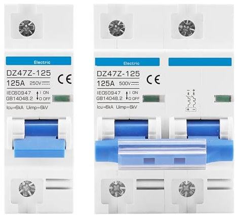 HCVYQMMJ Disjoncteur Solaire photovoltaïque 1000 V/500 V 125 A DC, 1 pôle, 2 pôles, 4 pôles, 80 A, 100 A, disjoncteur Principal, Protection de Batterie, DZ47Z-125, 1 pièce(125A,1)