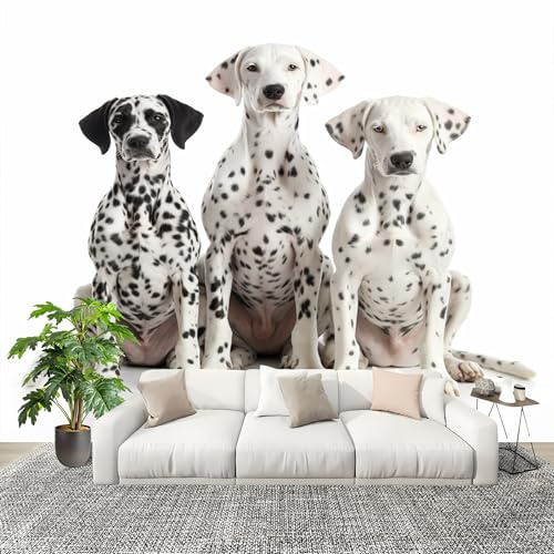 Fotomurales 200x140 cm Perro Animal DáLmata Decoración Muro Murales Papel Pintado tejido no tejido Blanco Moderna Panoramico Fotográfico Adhesivos Impermeable Papel Tapiz