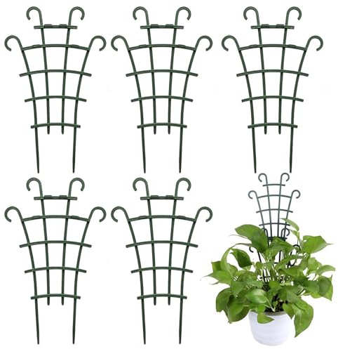 Griglia per Piante | 5 Pezzi Supporti per Pothos per Crescita Verticale - Tutori Esterni per Peperoni | per Piante Rampicanti Piselli Monstera Pothos Interno Esterno Vaso Giardino