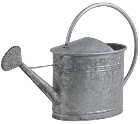 Aubry Gaspard Regadera de cinc, 7 l