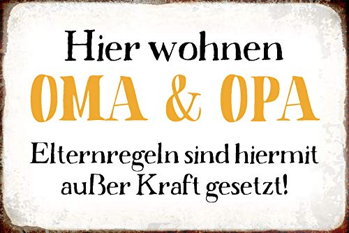 Schatzmix R0979 Spruch Hier Wohnen Oma & Opa Metallschild 20x30 Deko tin Sign Blechschild, Blech, Mehrfarbig, 20x30 cm