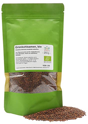 Topfruits Grünkohl Samen bio, 250g, Keimfähige Grünkohlsamen für Grünkohl Sprossen und Microgreens