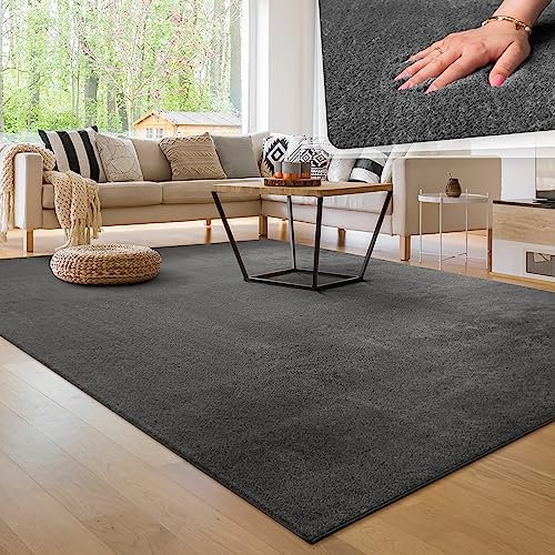 Paco Home Alfombra Moderna y Suave para Salón a Pelo Corto Lavable Fluffy Uni Efecto Piel Intemporal Elegante Antideslizante Fácil de Limpiar, tamaño:120x170 cm, Color:Antracita