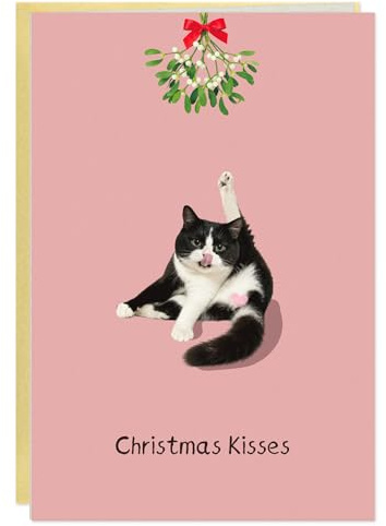 DISJOURNEY Biglietti di Natale - Divertente biglietto di Natale con gatto allegro - Biglietti di Natale auguri di stagione con busta per lei lui donne uomini 14 x 20,3 cm