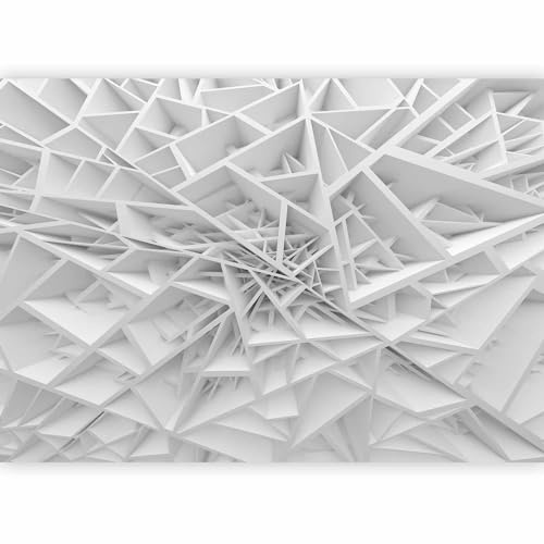 Papier peint murando intissé 350x256 cm Décoration Murale XXL Poster Tableaux Muraux Tapisserie Photo Trompe l'oeil Abstrait 3D a-B-0039-a-a