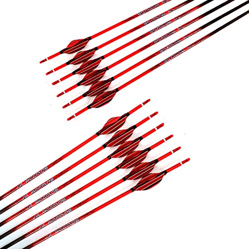 ACCMOS 29＂Rote Spiral Feder Reinem Carbon Pfeile Spine 800 Jagdpfeil Bogensport Übungspfeil, für Erwachsene Jugend Compoundbogen Recurvebogen Schießen Targeting Pfeil12 St (Spine 800 29inch)