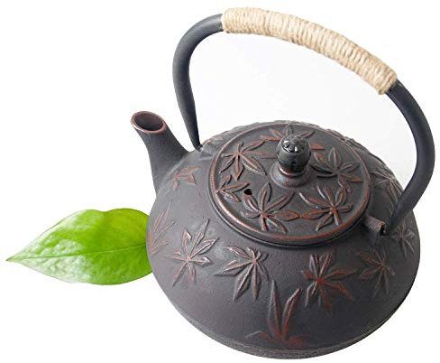 HwaGui Théière en Fonte Japonaise avec infuseur, 0,8 L Bouilloire en fonte thé, 800ml Theiere Décorative