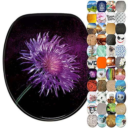 Sanilo WC Sitz mit Absenkautomatik, viele neue Toilettendeckel zur Auswahl, hochwertige Oberfläche, einfache Montage, stabile Scharniere (Purple Dust)