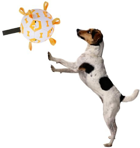 Coogime Hundespielzeug, 15/19CM Interaktiver Wasserspielzeug Hund Ball mit Ballpumpe und Nadel, Hundeball für Große Kleine und Mittelgroße Hunde, Innen & Außen Spielzeug Hund (19cm)