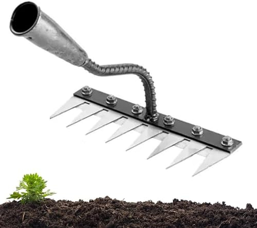 Rastrillo de hierro para jardinería y deshierbe, herramienta de jardinería, rastrillo de acero al carbono, para desbrozar, aflojar el césped del patio trasero (8 dientes)