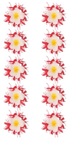 RUNROTOO Pinza Cabello en Rojo 10 Piezas Diseño de Flor Realista de Tejado y Plumeria Ligera y Antideslizante y Adecuada para Fiestas Luau y Disfraces Festivos para Fiestas Luau Disfraces