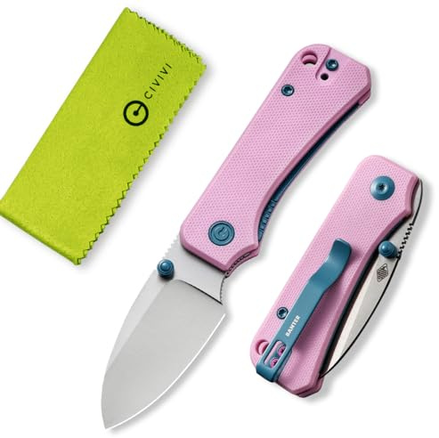 CIVIVI Small Pocket Knife for EDC, Ben Petersen Folding Knife Baby Banter with 2.34 Nitro-V Blade G10 Handle, Titanium Thumb Stud Opener C19068S-10