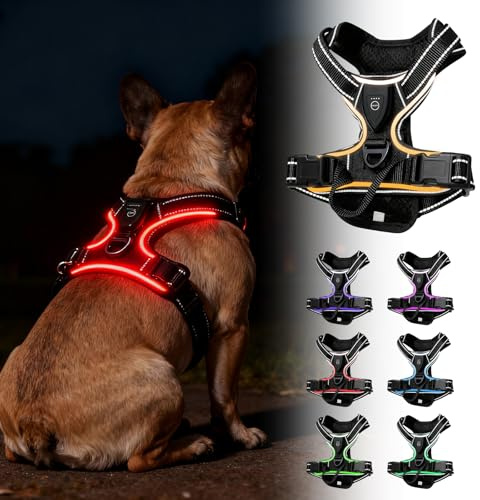 Hundegeschirr Leuchtend, LED Hundegeschirr Aufladbar mit Griff, Leuchtgeschirr LED Verstellbar, 7 Farben Leucht Brustgeschirr Anti Zug Atmungsaktivität & Komfort für Hunden 7.5-17.5kg(Schwarz, M)