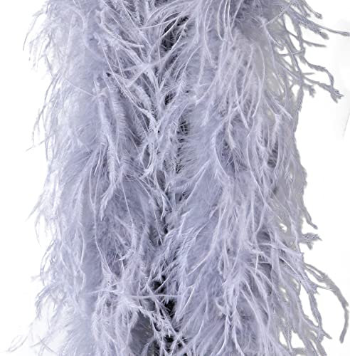 Cozylkx 1 Meter Straußenfederboa, Individuelles Kostüm, Flauschig Weicher Federbesatz Schal Für Damenkleid, Halloween, Tanzparty (Silber grau,4-ply)