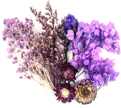 QZKJQDD Getrocknete Blumen, Trockenblumen Zum Basteln, Getrocknete Blumen, Trockenblumen Klein, Für DIY Handwerk Dekoration Epoxidharz Handwerk Scrapbooking Kartenherstellung (lila Anzug)