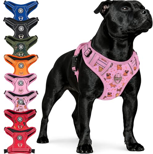 Reichstadt Pets Hundegeschirr Kleine Hunde 25RSP083 Puppy Parade Pink S | Verstellbares No-Pull Geschirr mit Griff & Reflektoren | Atmungsaktiv, Gepolstert & Strapazierfähig | Sicherheitsgeschirr