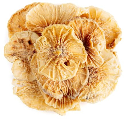 Yacon Root Organic Gourmet Quality - | Dried yacon root slices with a naturally sweet mild flavor perfect for brewing tea or a crunchy healthy snack