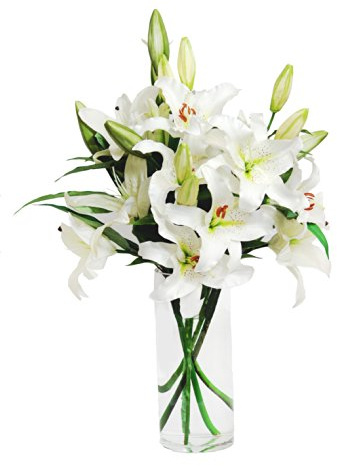 KaBloom - White Lily Bouquet (8 Stems) - With Vase - Fresh Flowers for Birthday, Valentine's & Mother's Day