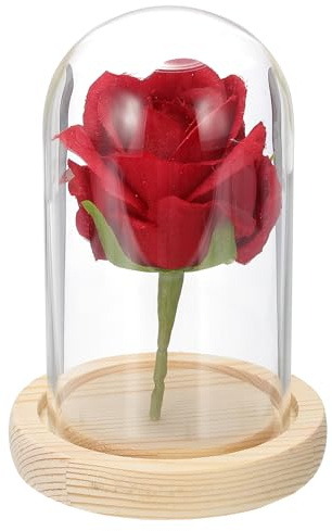 sourcing map Glass Cloche Display Dome, 4.7 x 2.7 Glass Dome Display Case Wood Base Tabletop Jar Case Decorative Bell Jar for Plant Home Decor Office Wedding Party, Natural