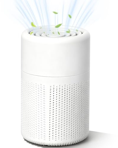 Air Purifier for home,Portable Air Purifiers with H13 HEPA Filter,Up to 215 Sq Ft, with 15dB Quiet Sleep Mode for Bedroom Office, USB Desktop Cleaner for Allergies Dust Odors Pet Pollen