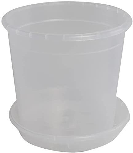 Pot à orchidée transparent avec soucoupe assortie en différentes tailles - Couleur : transparent - Diamètre : 15 cm