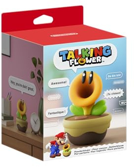 Nintendo